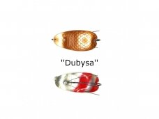 ''Dubysa''