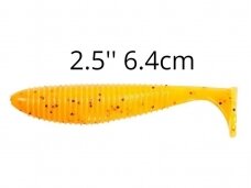 2.5'' 6.4cm
